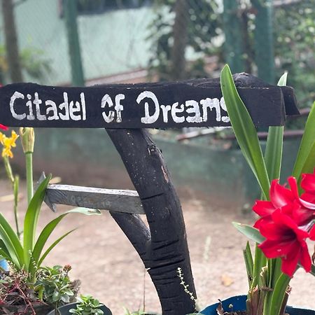 Апартаменти Citadel Of Dreams Елла Екстер'єр фото
