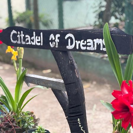 Апартаменти Citadel Of Dreams Елла Екстер'єр фото